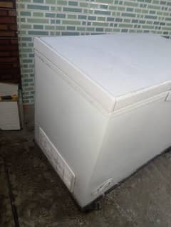 D freezer