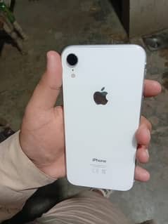 iPhone XR