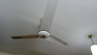 6.100 % Copper Pak Fans for sale