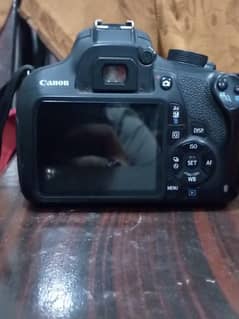 DSLR