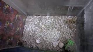 Aquarium