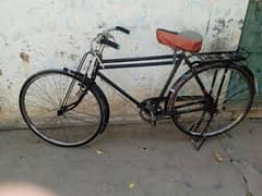 shorab