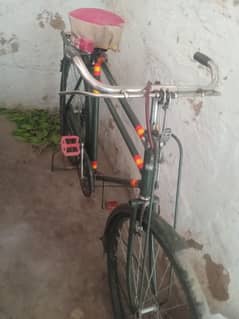 shorab