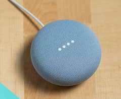 google nest mini 2nd generation . google home . google assistant