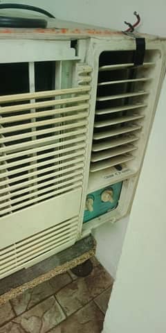 window