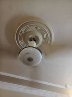 ceiling