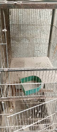 pinjra birds Cage