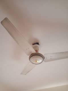 ceiling fan