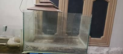 Big size fish aquarium