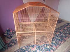 cage parrot
