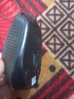 mouse