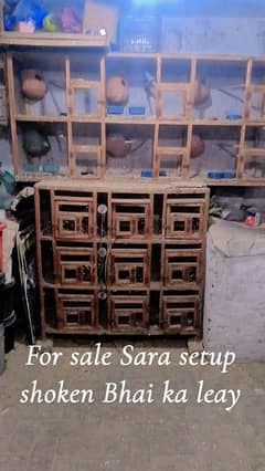 cage wholesale