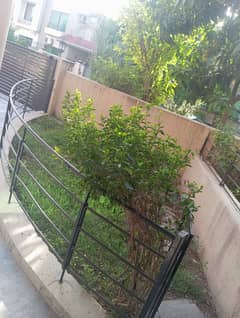 1 kanal non furnished ground portion available for Rent in Bahria town phase 4