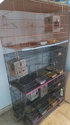 3x cages