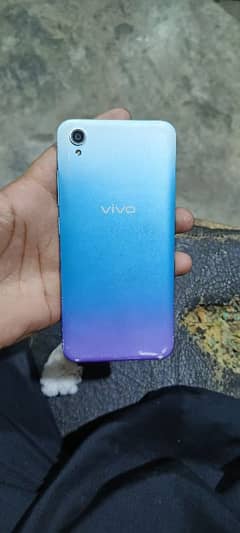 viví 2015