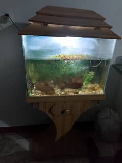 Fish Aquarium for sale