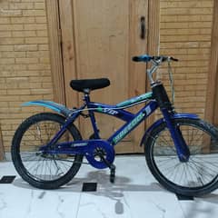 cycle