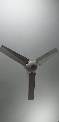 Royal Celling Fan
