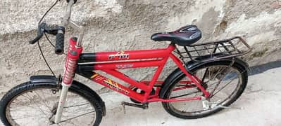CYCLE PHONEIX