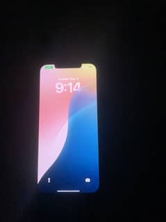 iPhone. 12 pro max