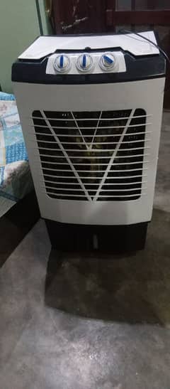 Ac/dc Rome color condition New