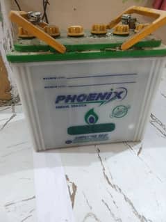 phoenix 65 mah
