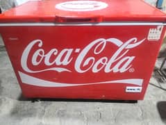 C d Freezer singel door (0306=4462/443)wahhset