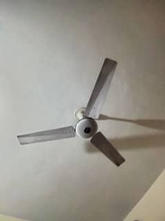 GFC ceiling Fan