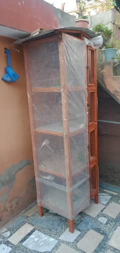 Birds cage