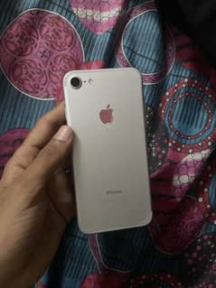 I phone 7 pta aproved