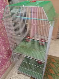 parrot cage