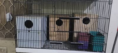 Bard Cage For Sale 4 Psc Cage With Breeding Box With All asasoris