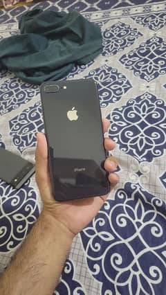 8 plus pta approve