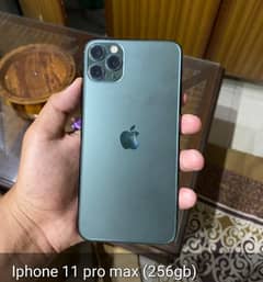 Iphone 11 pro max (256gb)
