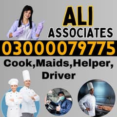 Maid provider , Chef , Patient Care , Driver , Nurse ,  , Cook Maid