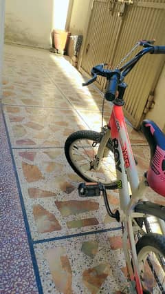 imported cycle