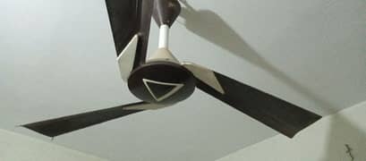 GFC Ceiling Fan Monet 56" 2 Fans