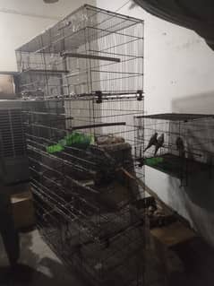 Parrots cage for sell fold able