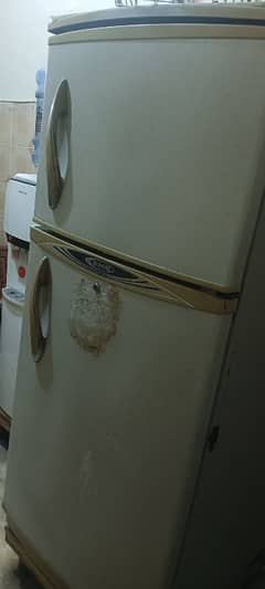 Waves Refrigerator