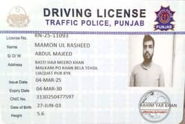 car driver's