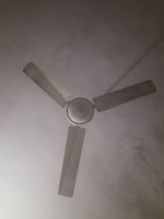 celing fan
