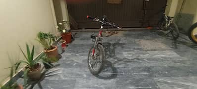 20 inch cycle