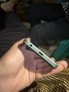 Y03t vivo