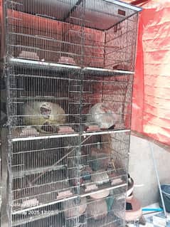 2 CAGES 8 Portions