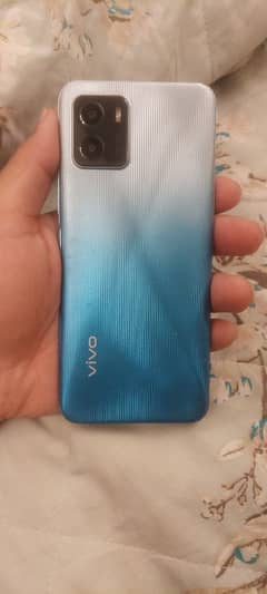 vivo