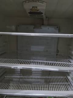 full size refrigerator