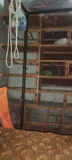 parrot cage