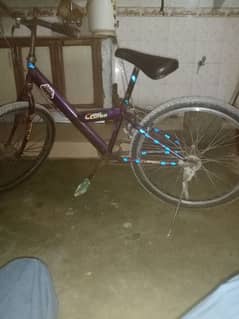 cycle