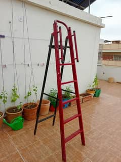 Ladder for sale very slightly used.