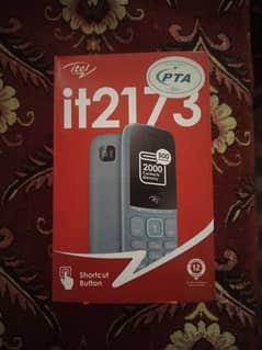 It2173